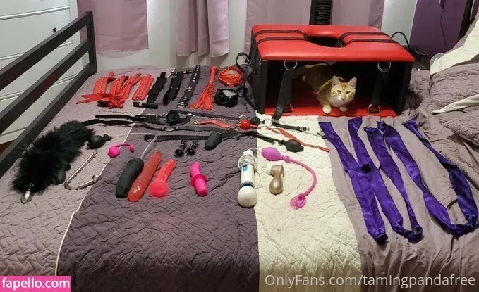 bbysarita / tamingpandafree Onlyfans Photo Gallery 