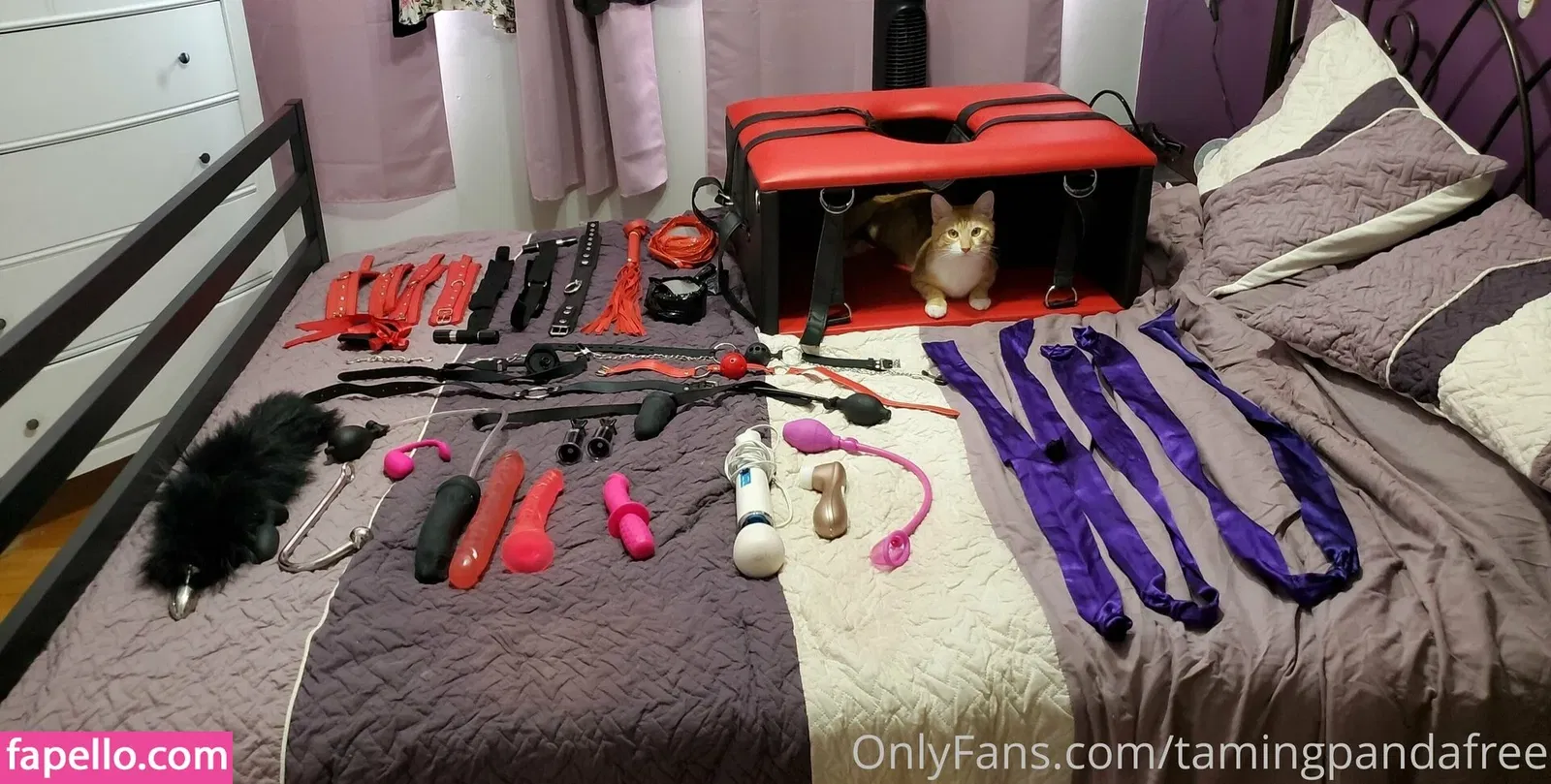 bbysarita / tamingpandafree Onlyfans Photo Gallery 