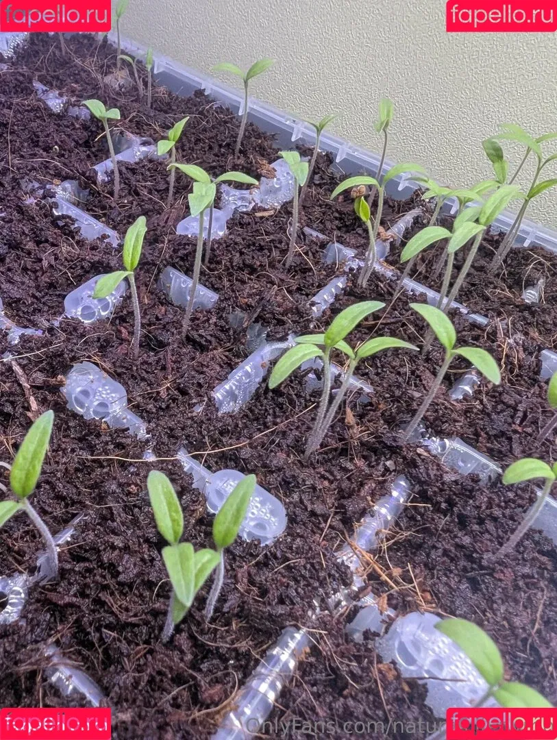 kitchen-Key-1478 / natures.lil.nymp / natures_lil_nymp Onlyfans Photo Gallery 