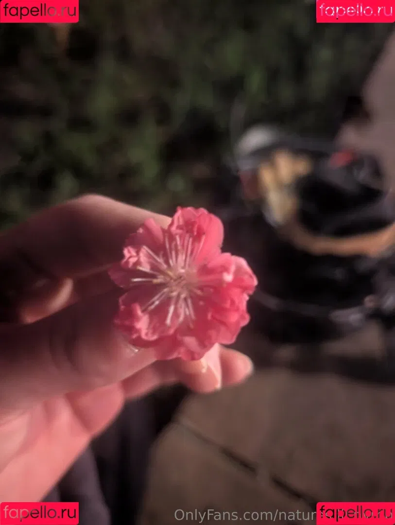 kitchen-Key-1478 / natures.lil.nymp / natures_lil_nymp Onlyfans Photo Gallery 