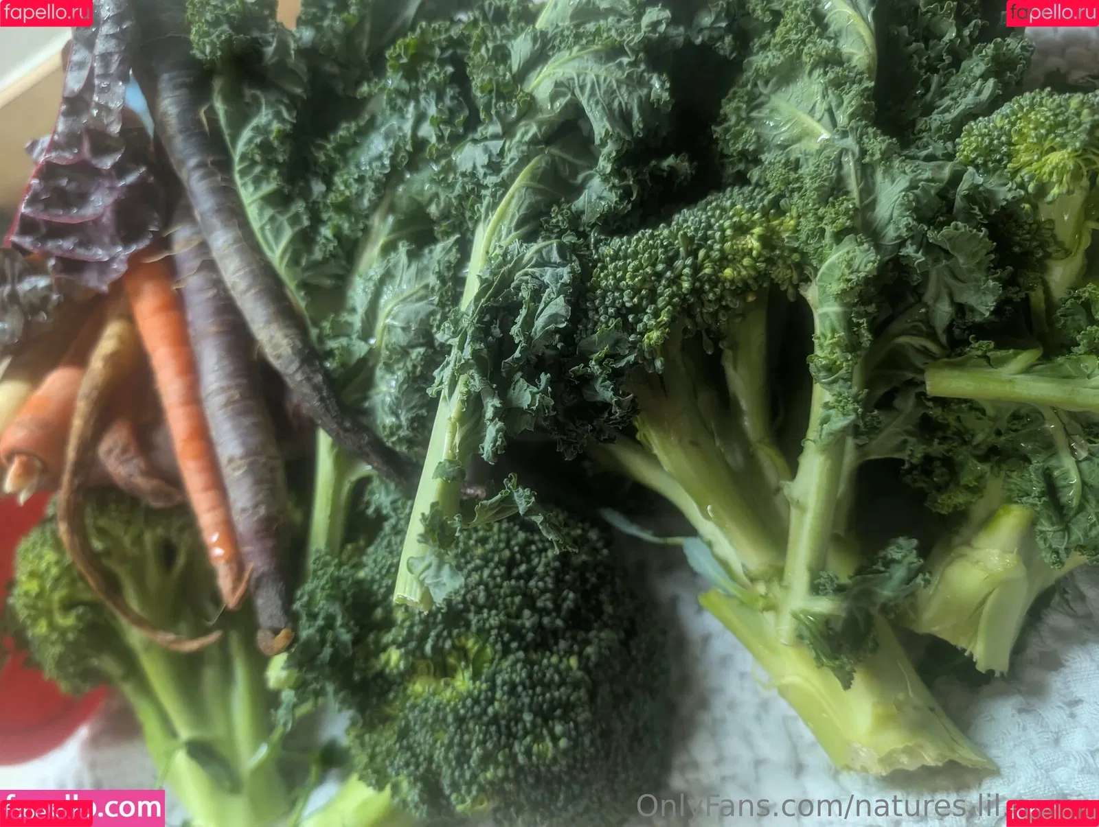 kitchen-Key-1478 / natures.lil.nymp / natures_lil_nymp Onlyfans Photo Gallery 