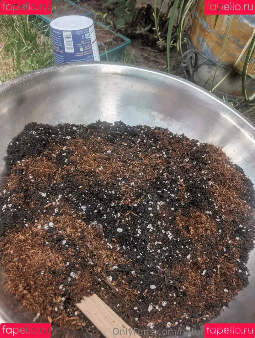 kitchen-Key-1478 / natures.lil.nymp / natures_lil_nymp Onlyfans Photo Gallery 