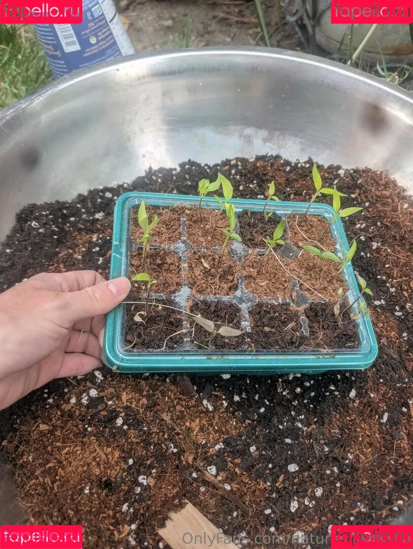 kitchen-Key-1478 / natures.lil.nymp / natures_lil_nymp Onlyfans Photo Gallery 