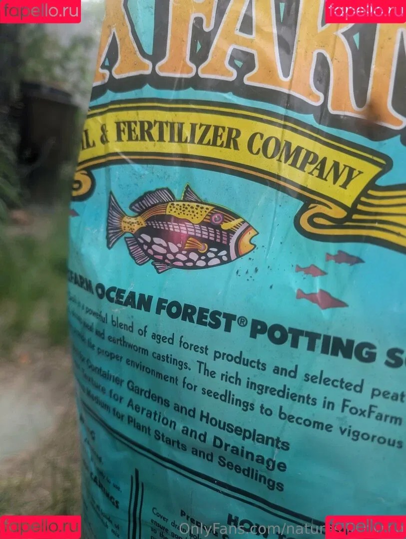 kitchen-Key-1478 / natures.lil.nymp / natures_lil_nymp Onlyfans Photo Gallery 