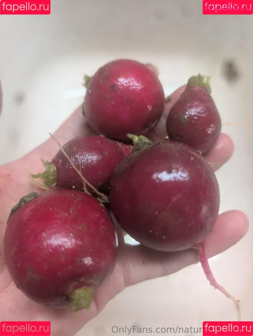 kitchen-Key-1478 / natures.lil.nymp / natures_lil_nymp Onlyfans Photo Gallery 