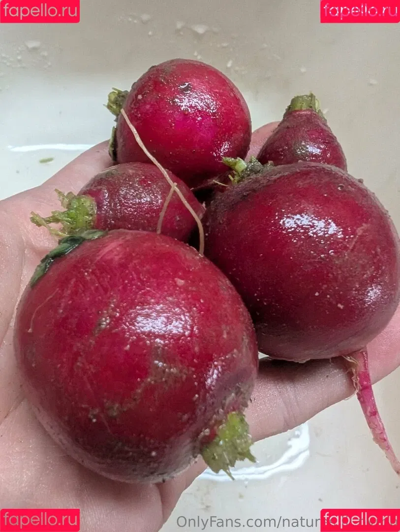 kitchen-Key-1478 / natures.lil.nymp / natures_lil_nymp Onlyfans Photo Gallery 