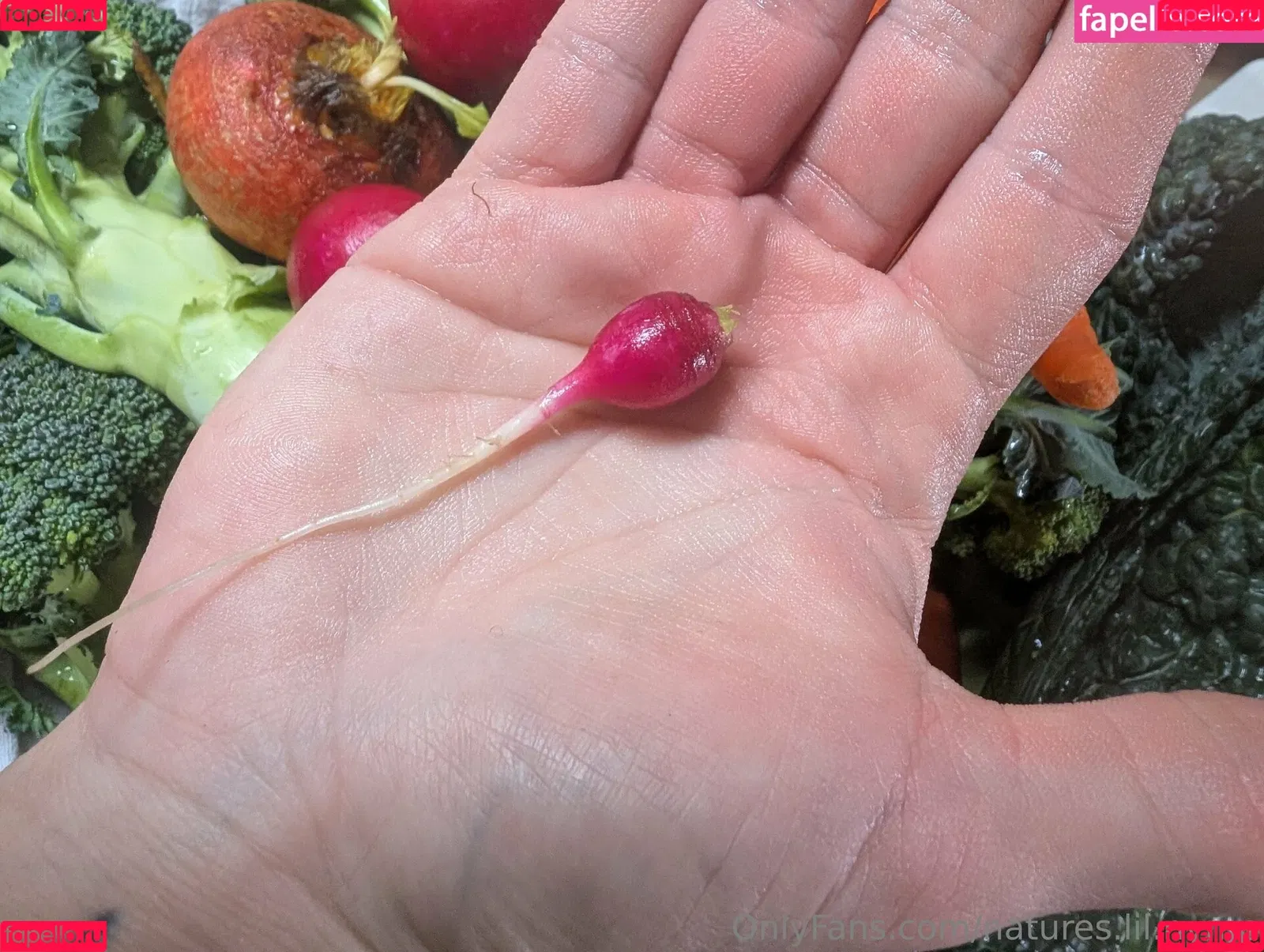 kitchen-Key-1478 / natures.lil.nymp / natures_lil_nymp Onlyfans Photo Gallery 