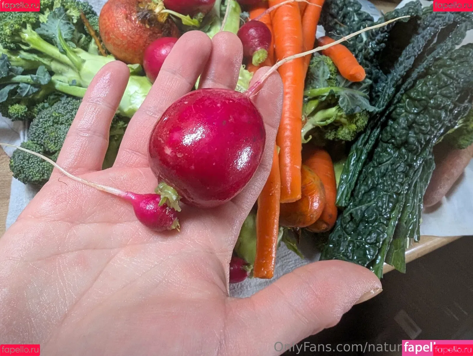 kitchen-Key-1478 / natures.lil.nymp / natures_lil_nymp Onlyfans Photo Gallery 