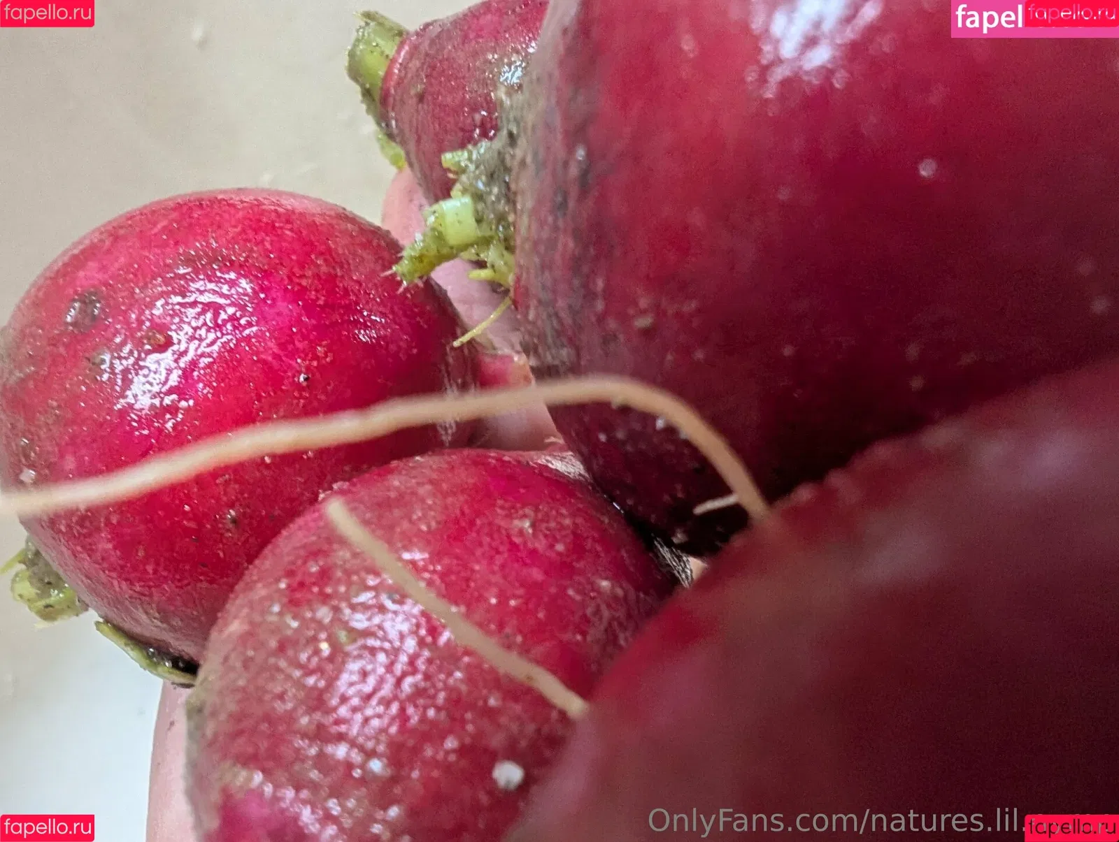 kitchen-Key-1478 / natures.lil.nymp / natures_lil_nymp Onlyfans Photo Gallery 