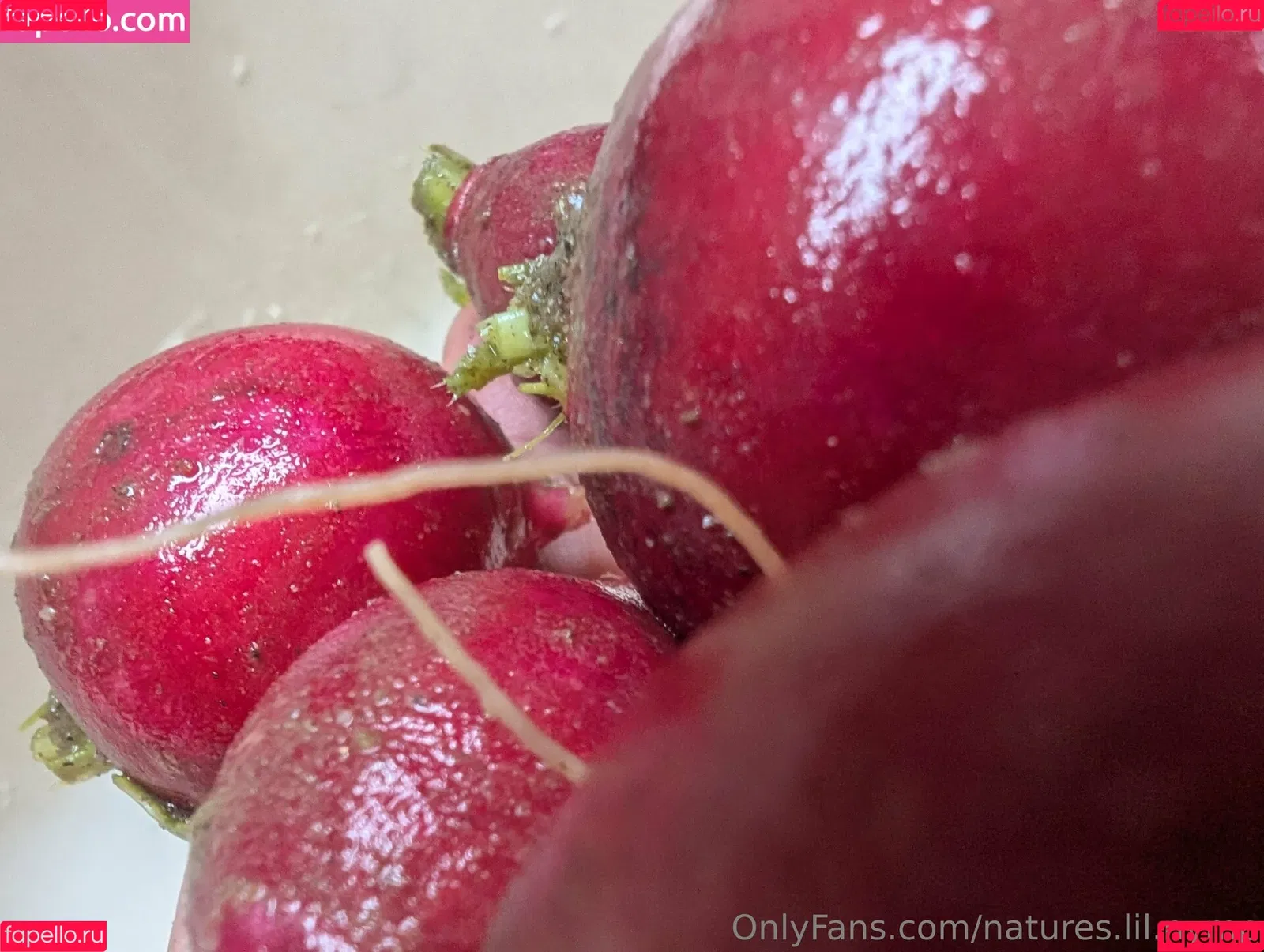 kitchen-Key-1478 / natures.lil.nymp / natures_lil_nymp Onlyfans Photo Gallery 