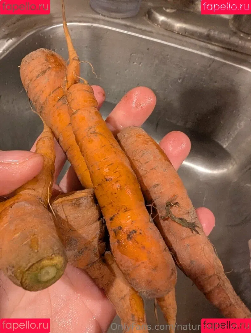 kitchen-Key-1478 / natures.lil.nymp / natures_lil_nymp Onlyfans Photo Gallery 