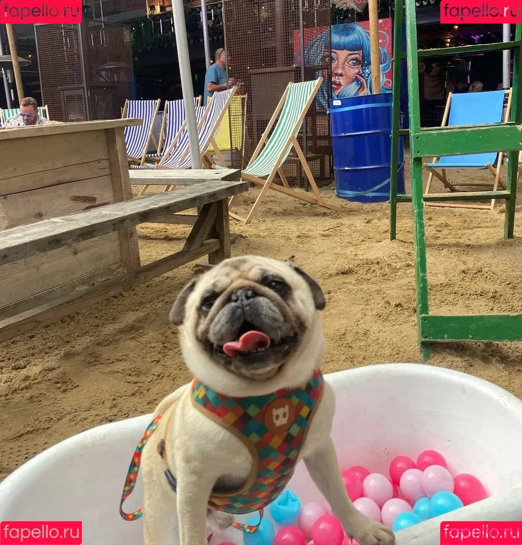 https: / jennynextdoorgirl / thegirlnextdoorr Onlyfans Photo Gallery 