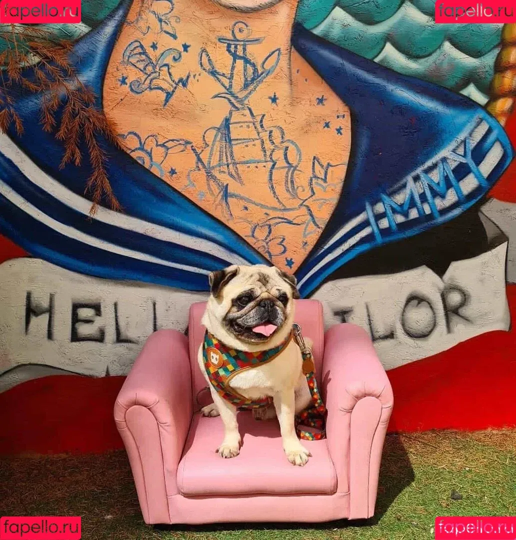 https: / jennynextdoorgirl / thegirlnextdoorr Onlyfans Photo Gallery 