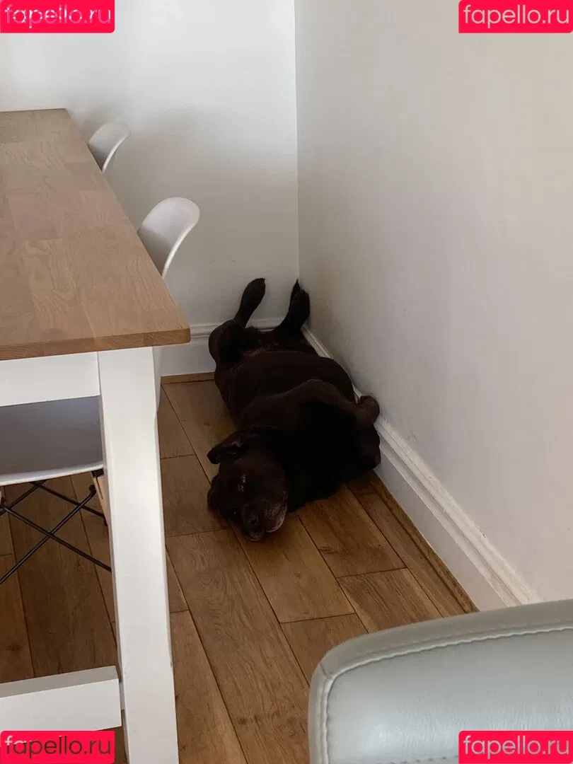 https: / jennynextdoorgirl / thegirlnextdoorr Onlyfans Photo Gallery 