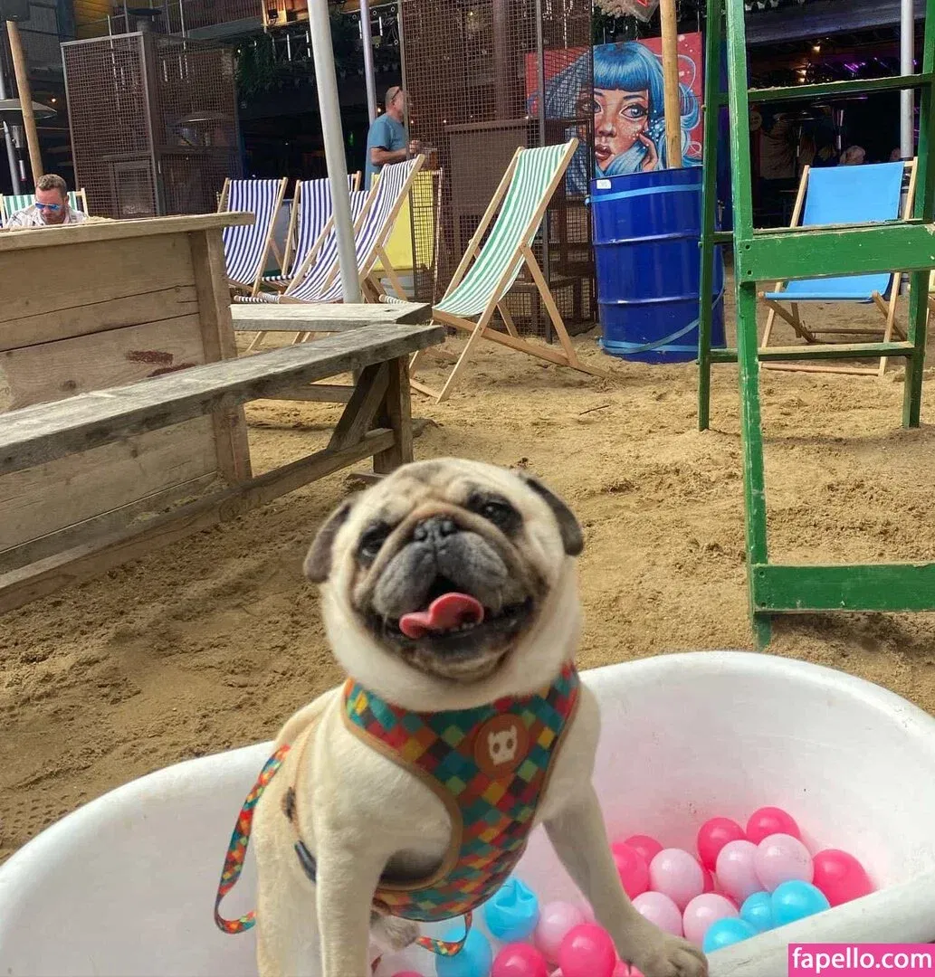 https: / jennynextdoorgirl / thegirlnextdoorr Onlyfans Photo Gallery 