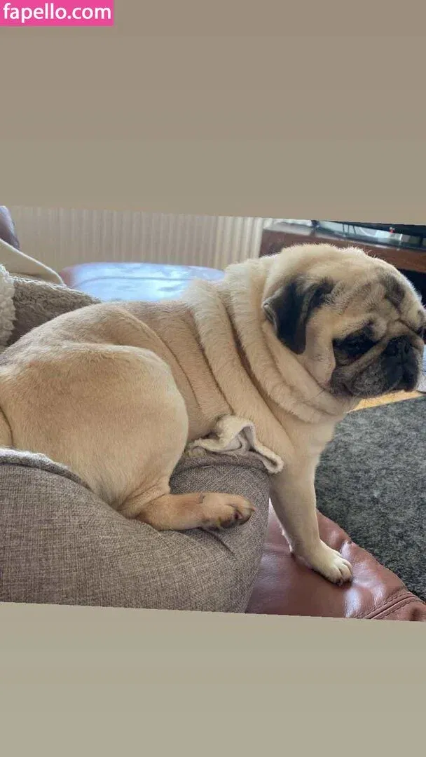 https: / jennynextdoorgirl / thegirlnextdoorr Onlyfans Photo Gallery 