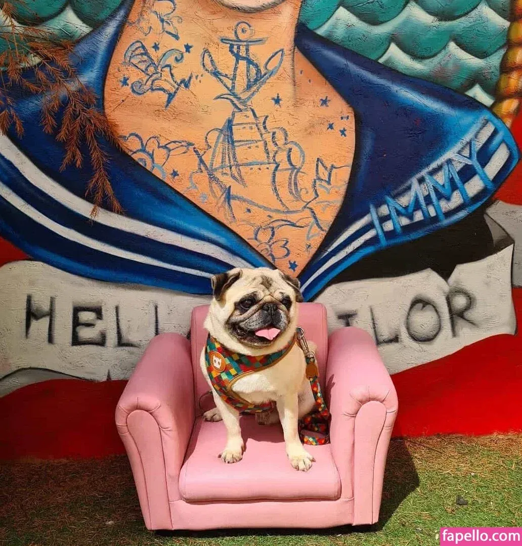 https: / jennynextdoorgirl / thegirlnextdoorr Onlyfans Photo Gallery 