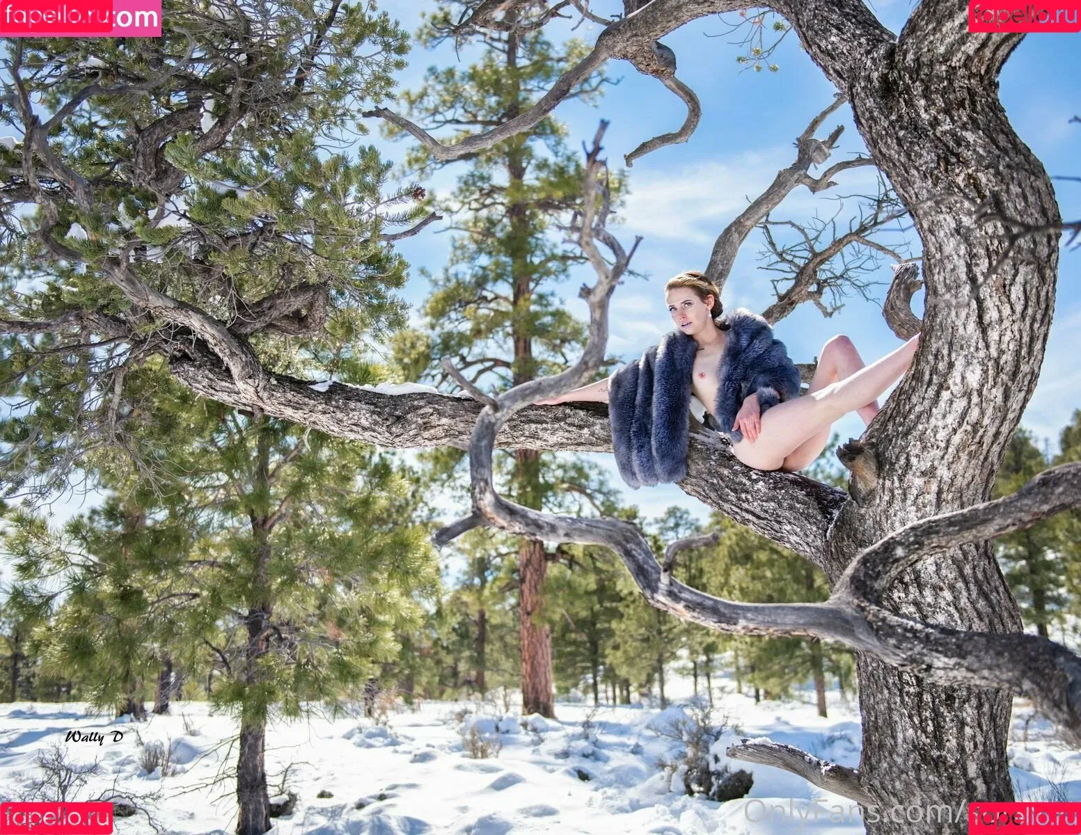 sora.kat / sorakat Onlyfans Photo Gallery 