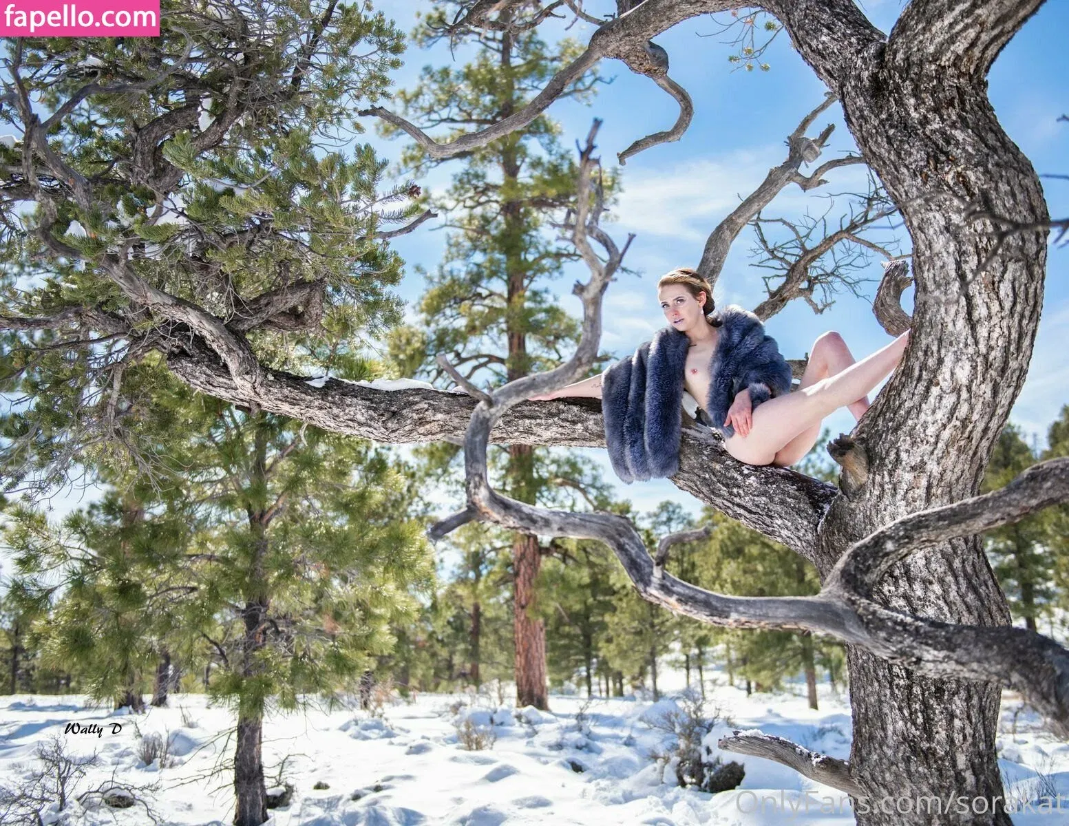 sora.kat / sorakat Onlyfans Photo Gallery 