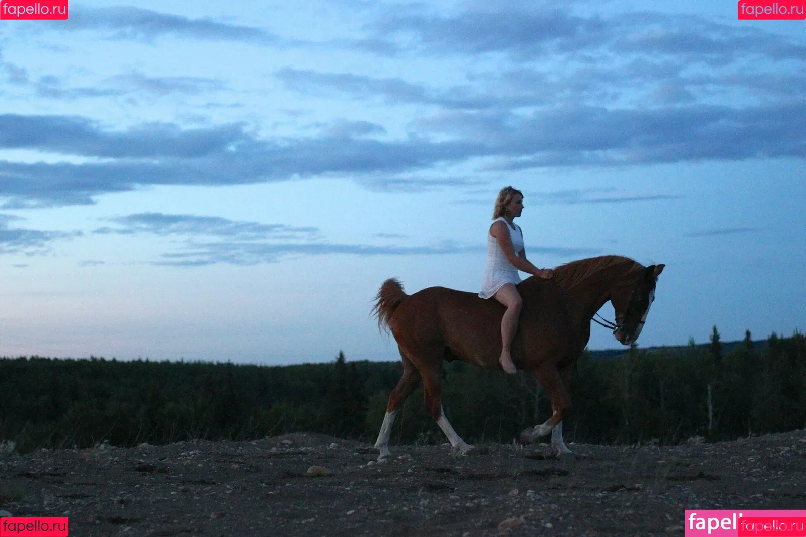 Notsoerudite / not_so_erudite Onlyfans Photo Gallery 