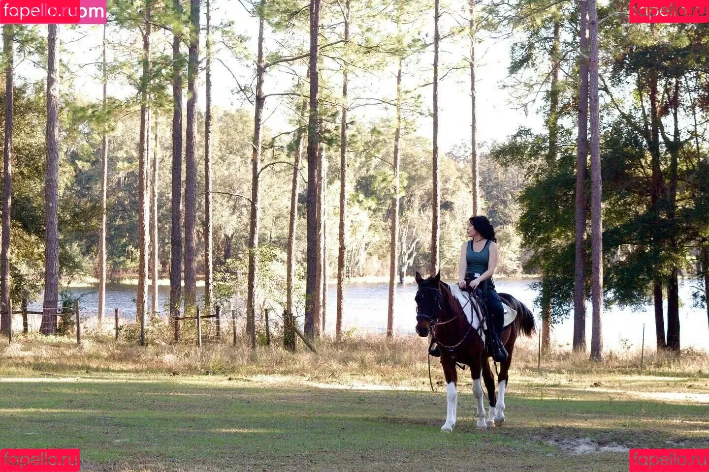 Notsoerudite / not_so_erudite Onlyfans Photo Gallery 