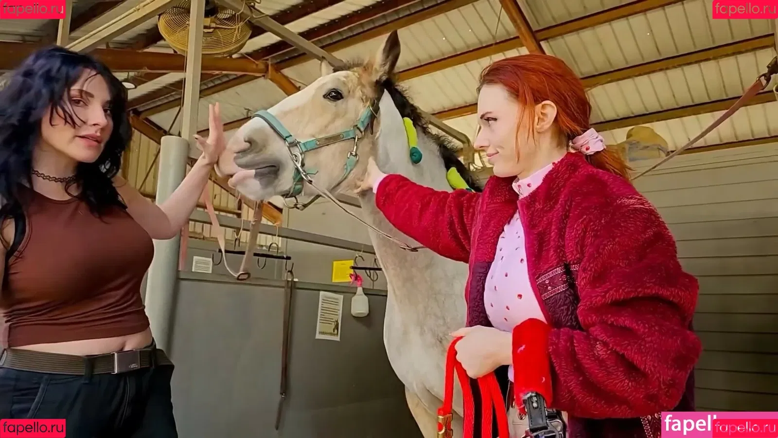 Notsoerudite / not_so_erudite Onlyfans Photo Gallery 