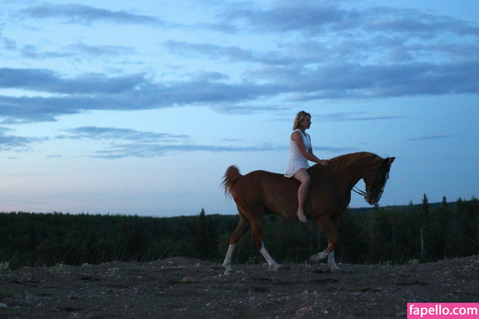 Notsoerudite / not_so_erudite Onlyfans Photo Gallery 