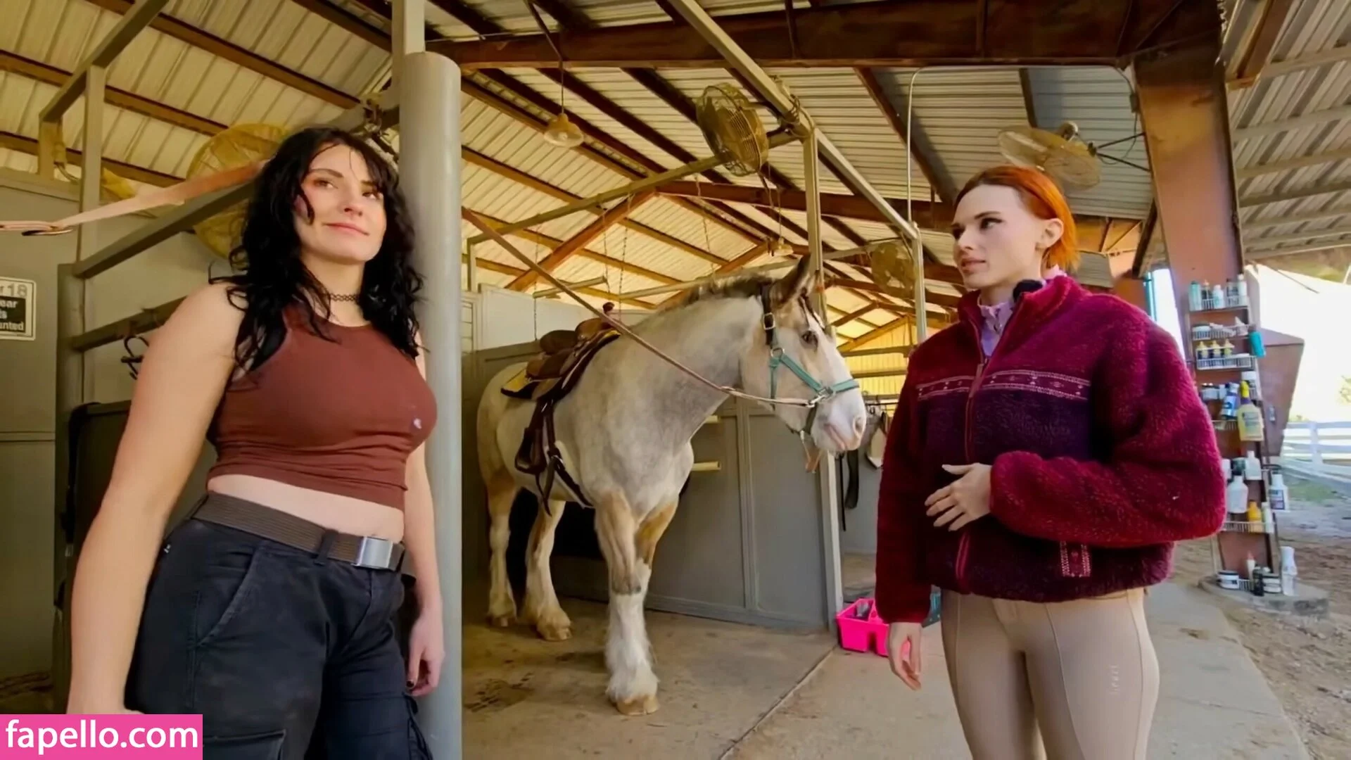 Notsoerudite / not_so_erudite Onlyfans Photo Gallery 