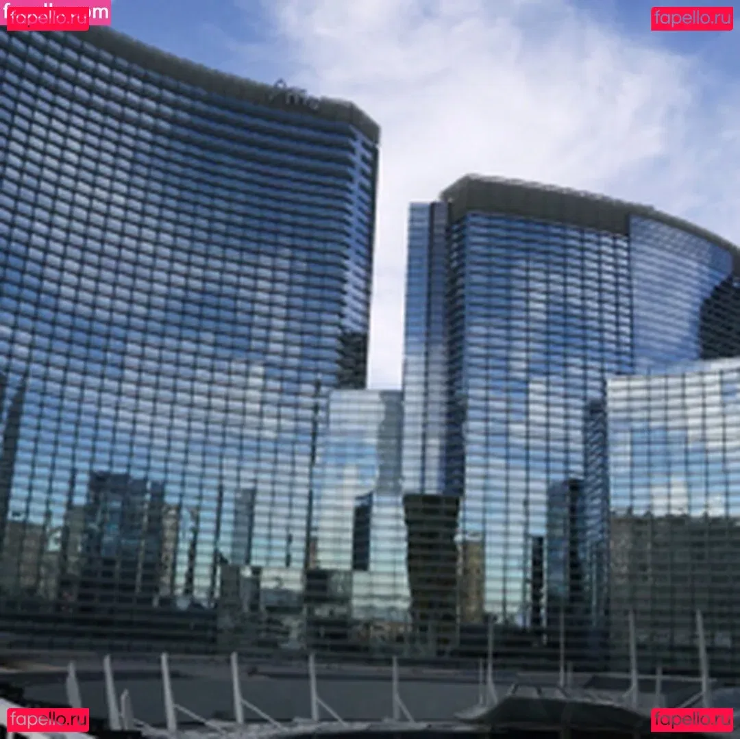 Brandi Love Onlyfans Photo Gallery 