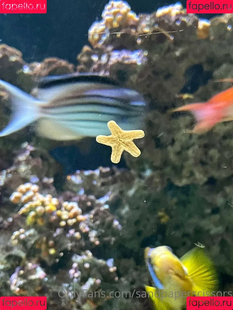 https: / sandpaperscissors / shawnie / shawnie__spink Onlyfans Photo Gallery 