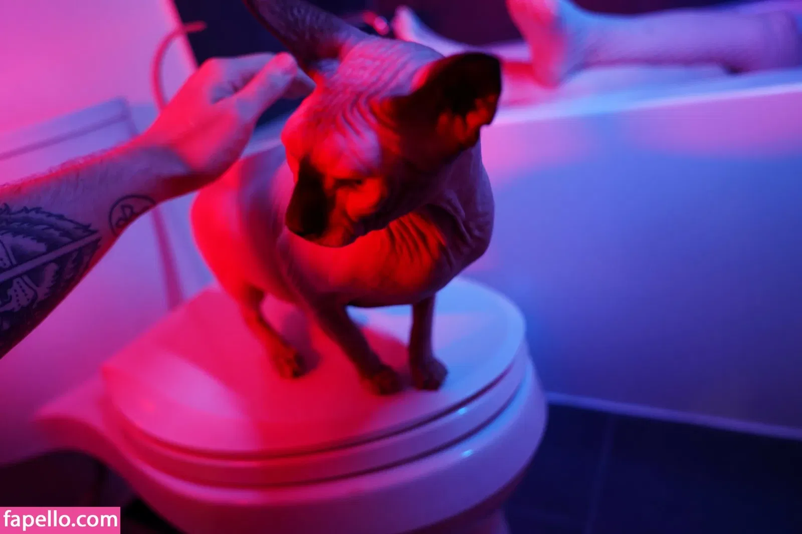 Olyashaa / deepfake / olyashaasaxon Onlyfans Photo Gallery 