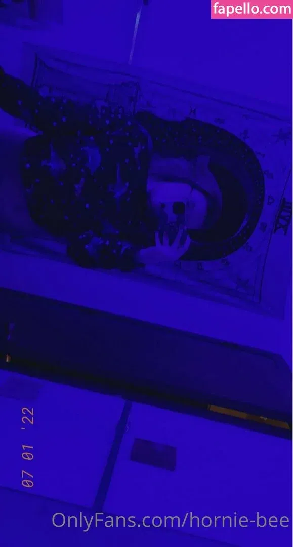 hornie-bee Onlyfans Photo Gallery 