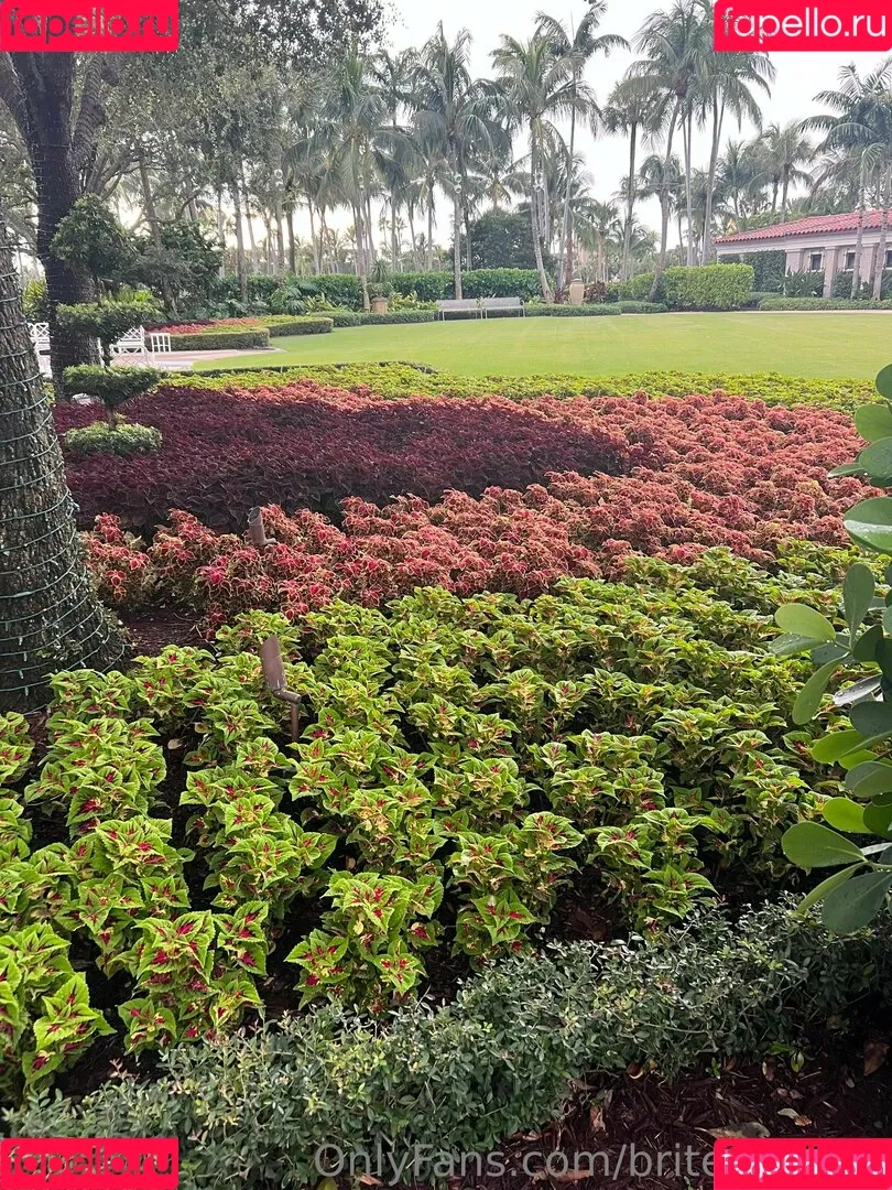 briteresi / briteresifree Onlyfans Photo Gallery 