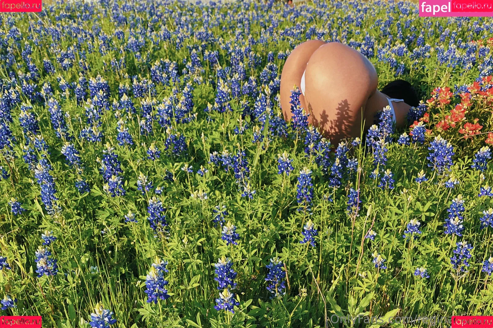 Regina_Unite / reginaunite_fit Onlyfans Photo Gallery 