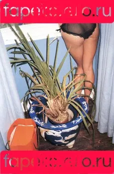 Kate Moss / kateamoss / katemossagency Onlyfans Photo Gallery 