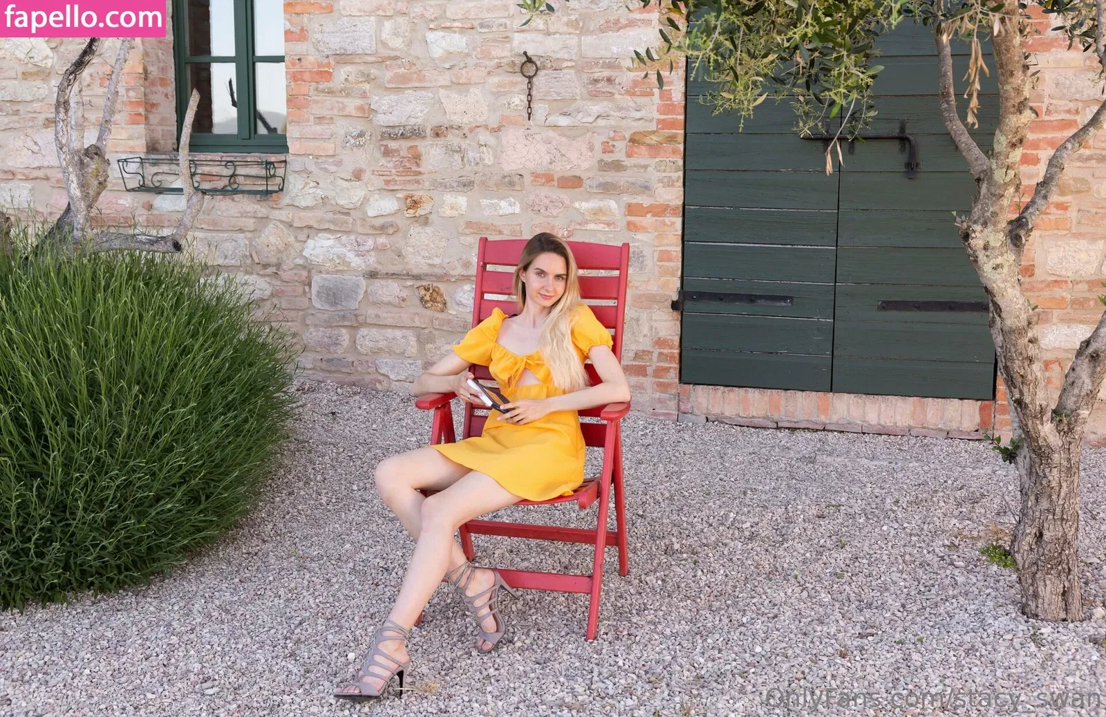 Stacy_swan / _stacy.swan_ Onlyfans Photo Gallery 