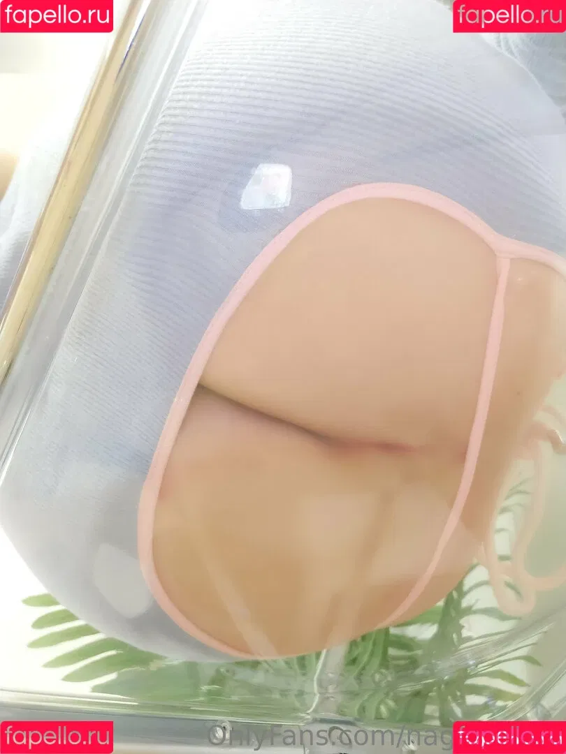 Nagisa / nagesaa9008 / nagisa9008 Onlyfans Photo Gallery 