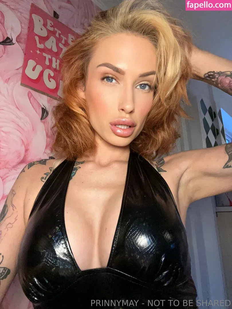 prinnymay / prinnymay_ Onlyfans Photo Gallery 