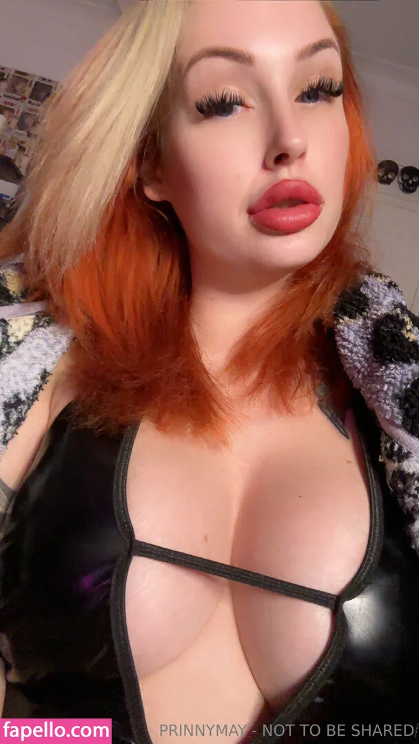 prinnymay / prinnymay_ Onlyfans Photo Gallery 