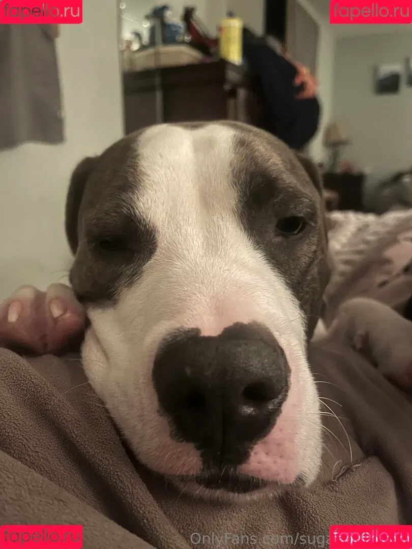 sugarbuttfree1 Onlyfans Photo Gallery 