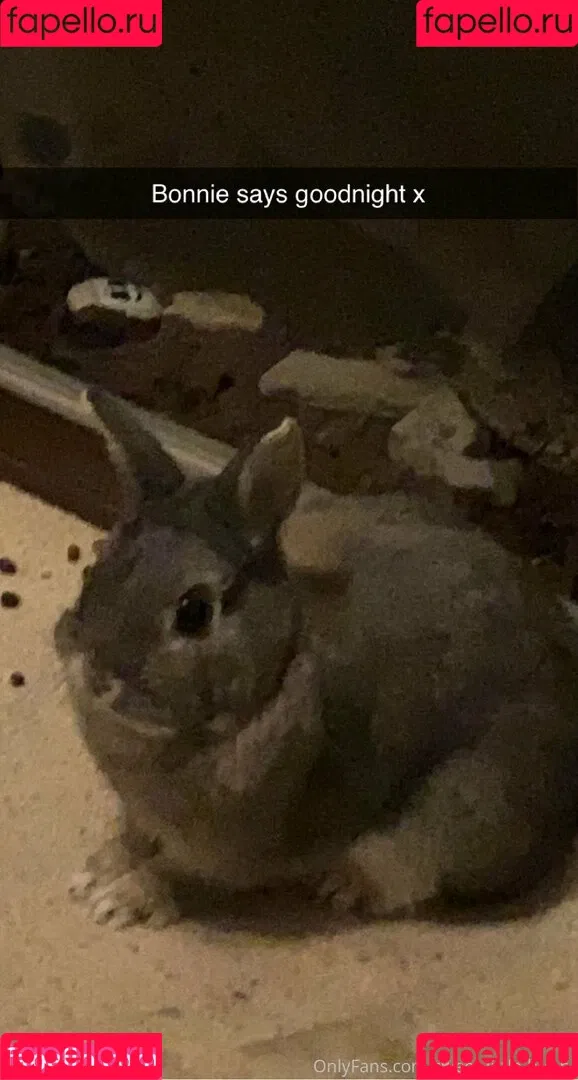 little.hunni / sweet-little-hunni Onlyfans Photo Gallery 