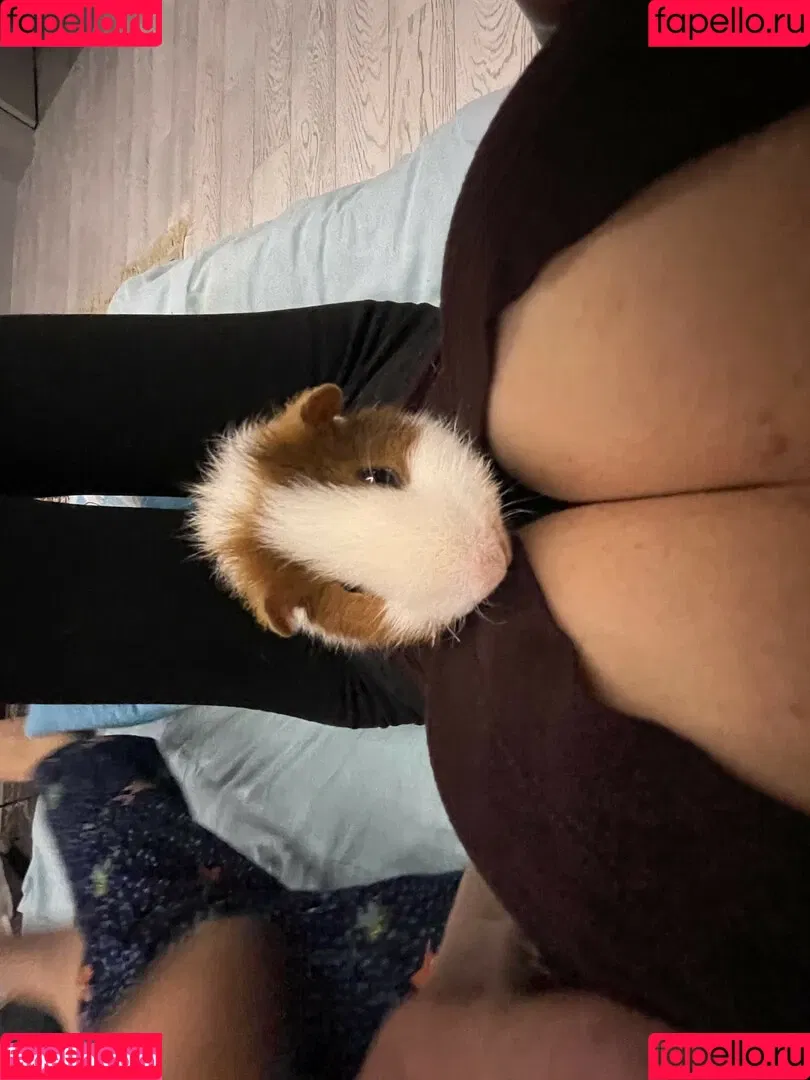 Lisa Rulit / lisarulit Onlyfans Photo Gallery 