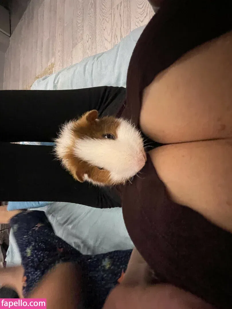 Lisa Rulit / lisarulit Onlyfans Photo Gallery 