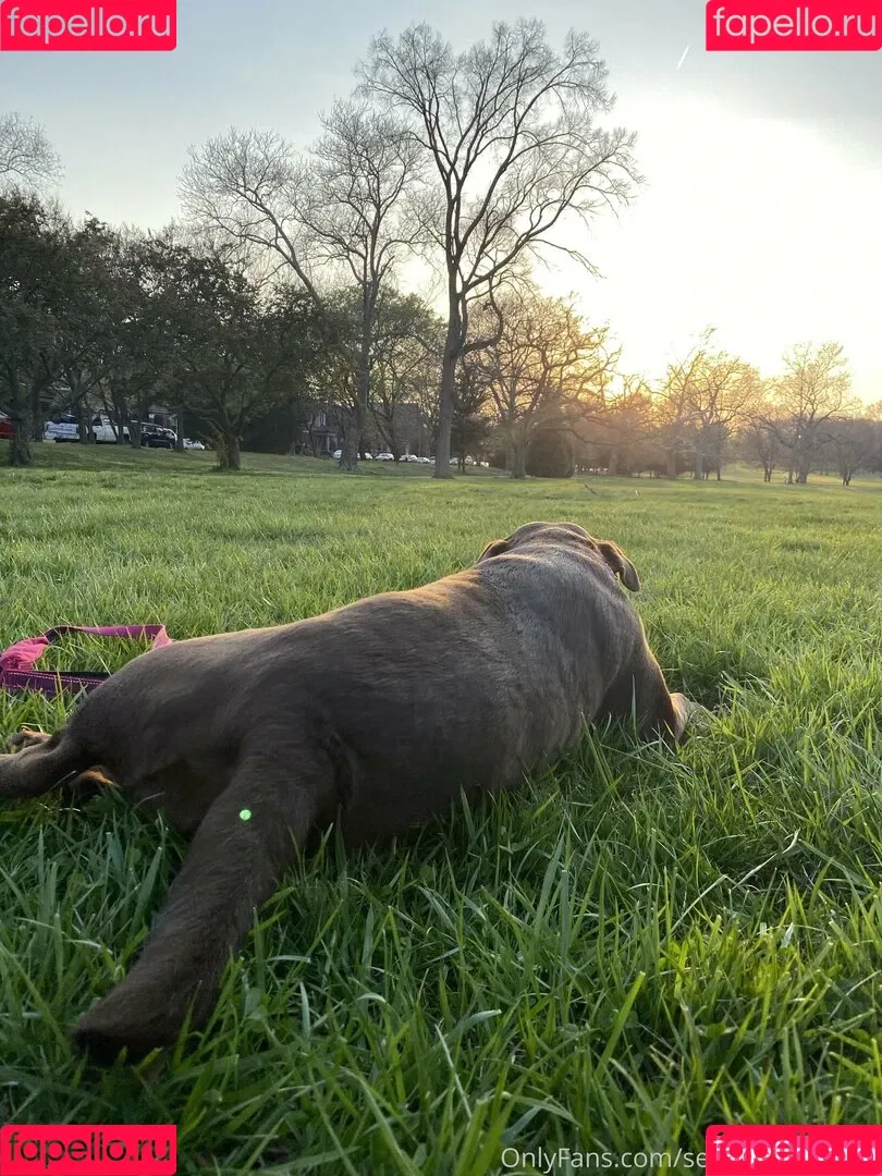 seitans.mistress / seitansm1stress Onlyfans Photo Gallery 