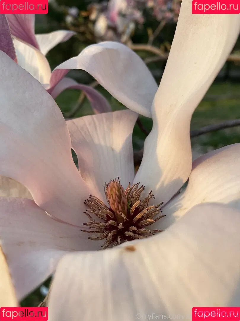 seitans.mistress / seitansm1stress Onlyfans Photo Gallery 