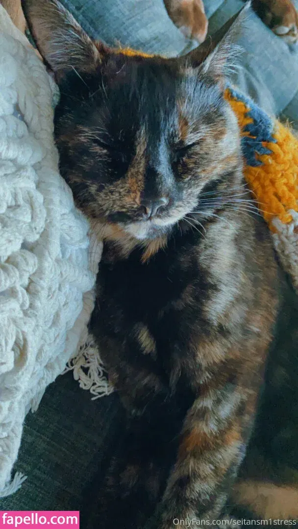 seitans.mistress / seitansm1stress Onlyfans Photo Gallery 