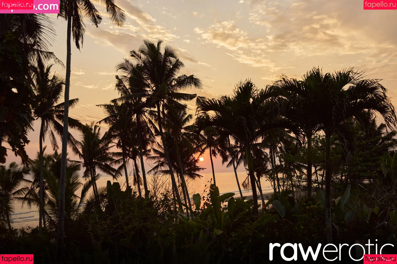 Lilla Katten / Superbe / superbeofficial Onlyfans Photo Gallery 