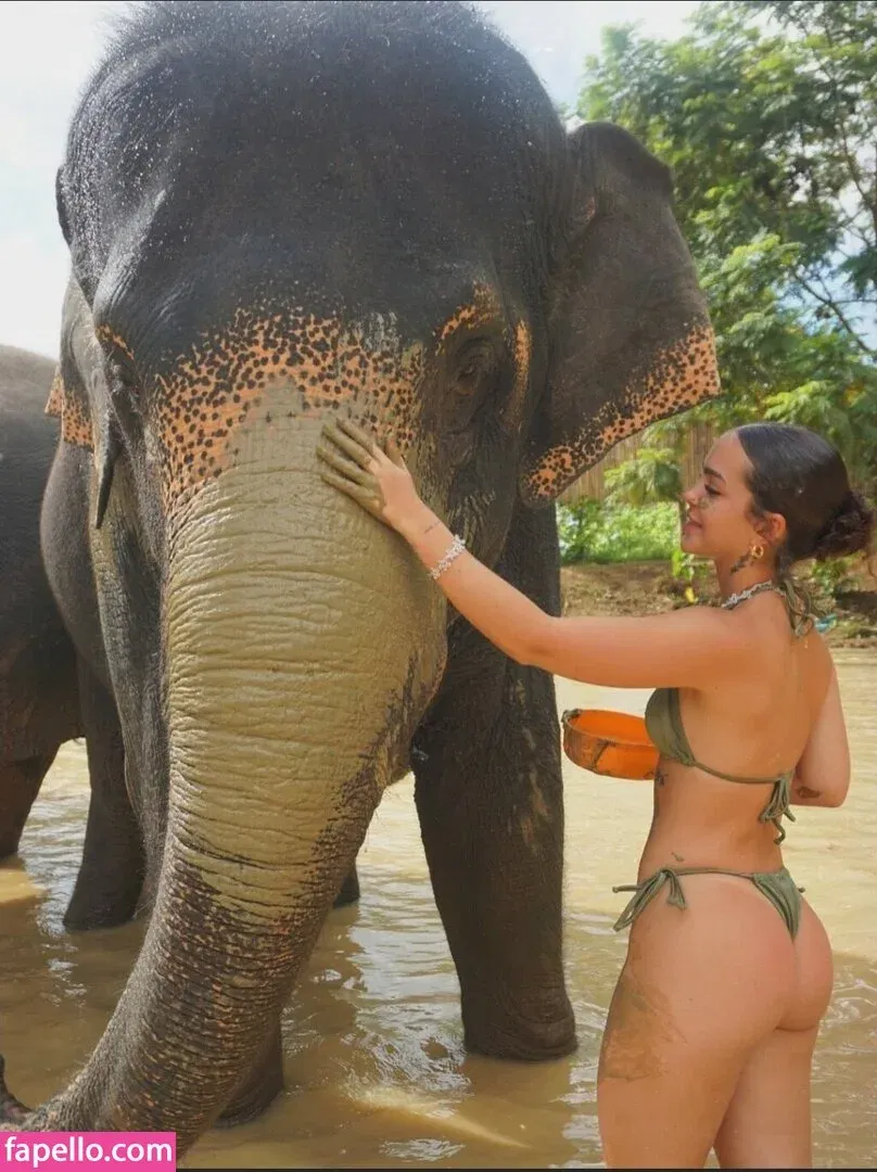 Dezoitou / Mel Maia / mel_maia / melissamelmaia Onlyfans Photo Gallery 