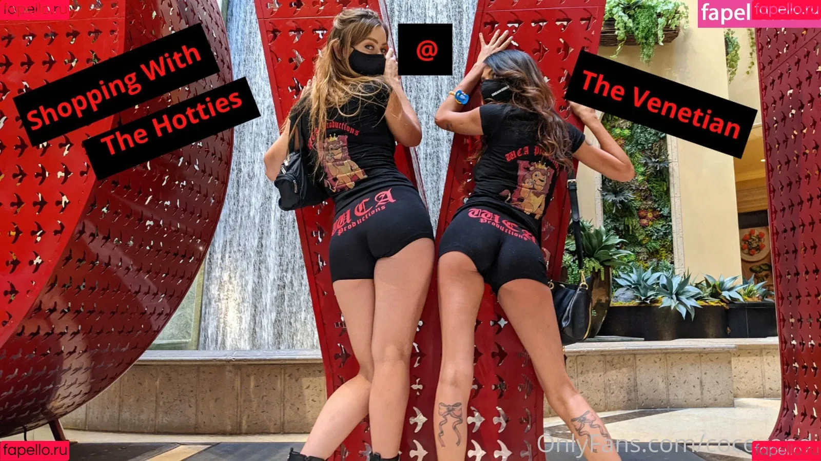 cocovandi / cocovandijk Onlyfans Photo Gallery 