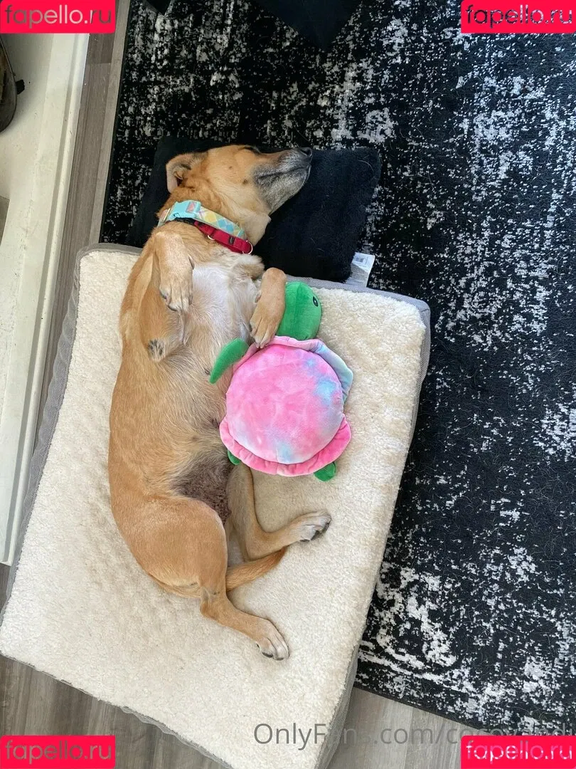 cocovandi / cocovandijk Onlyfans Photo Gallery 